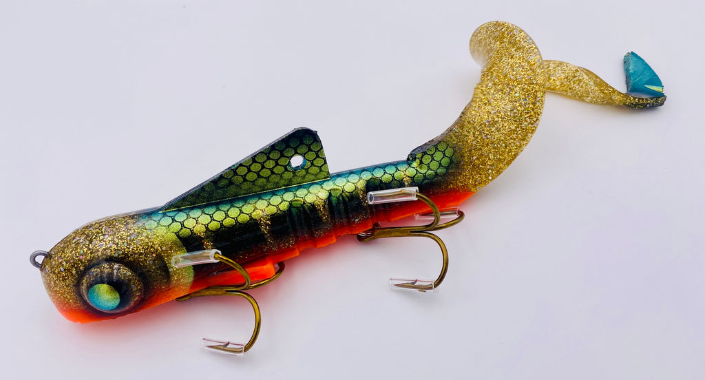 Custom Shallow Regular Bull Dawg Black Hills Gold