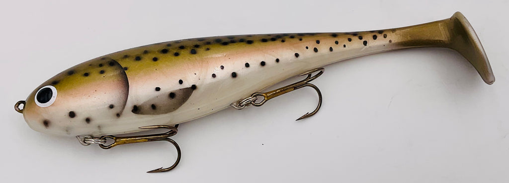 Custom Regular Shallow Swimmin' Dawg Rainbow Trout